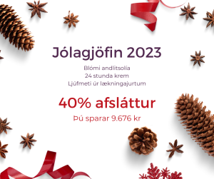 Jólagjöfin 2023
