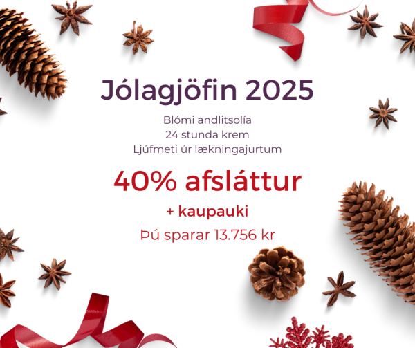 Jólagjöfin 2025